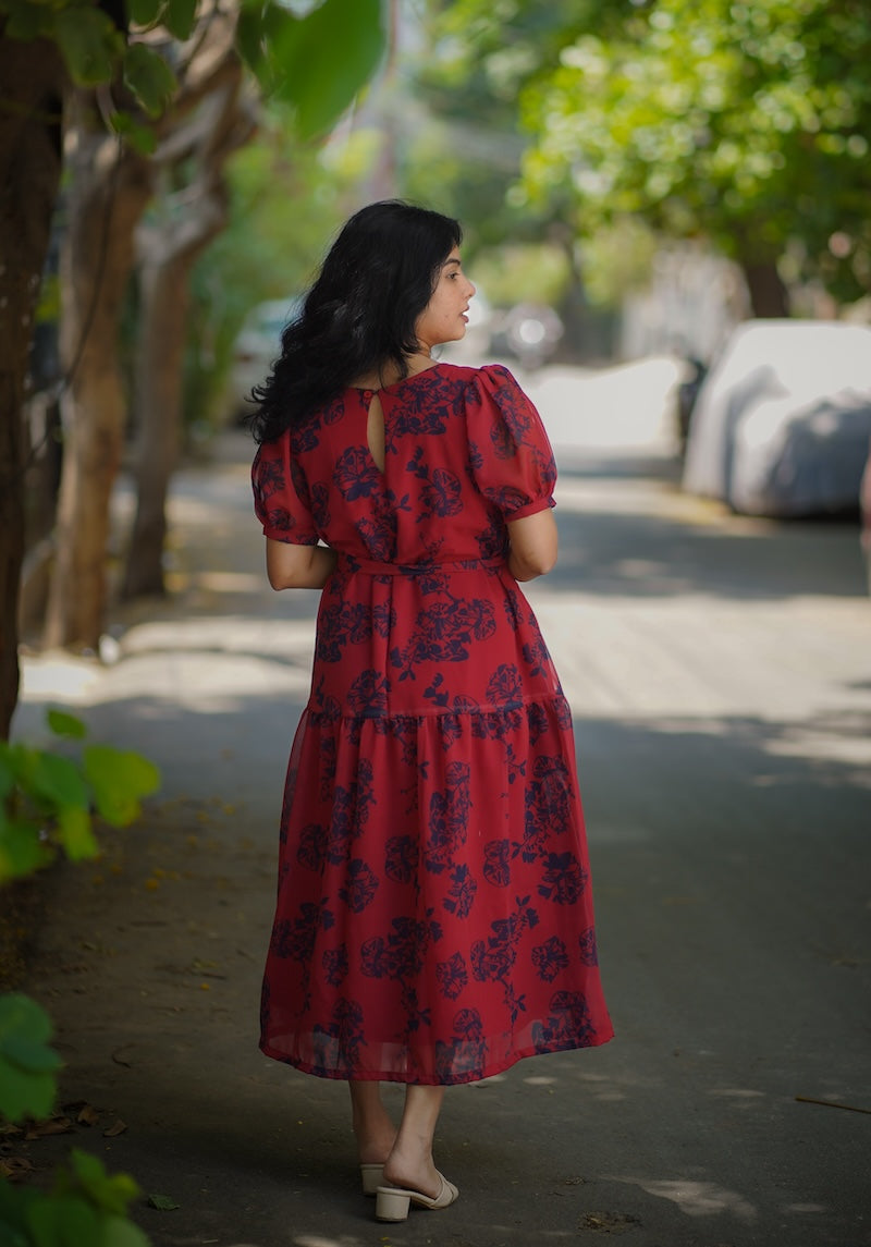 Celia LadyBug Georgette Dress image 6