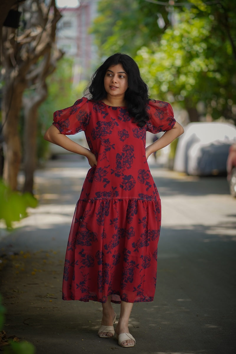 celia ladybug georgette dress image 5