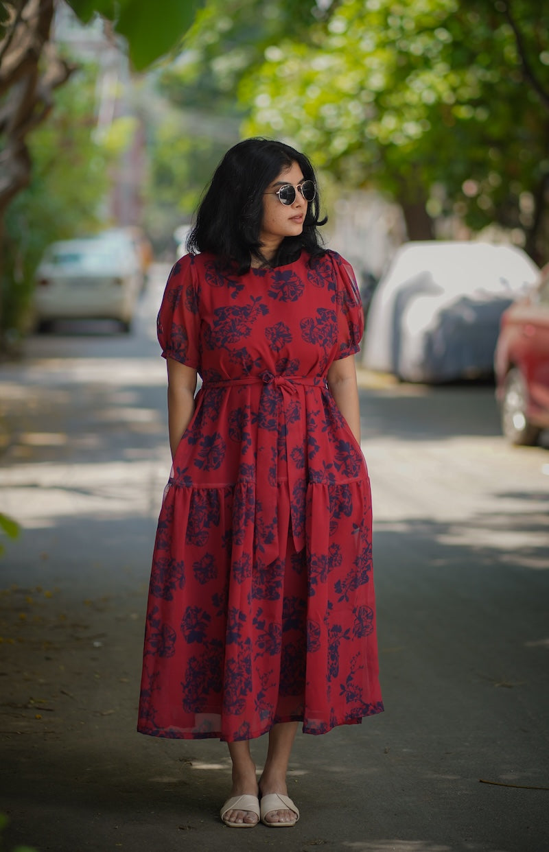 Celia LadyBug Georgette Dress image 4
