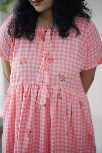 Arina Gingham Pink Checkered Georgette dress