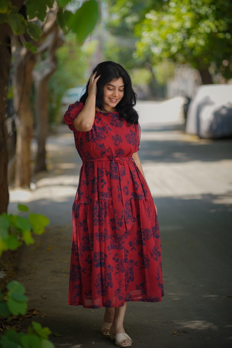 Celia LadyBug Georgette Dress image 1