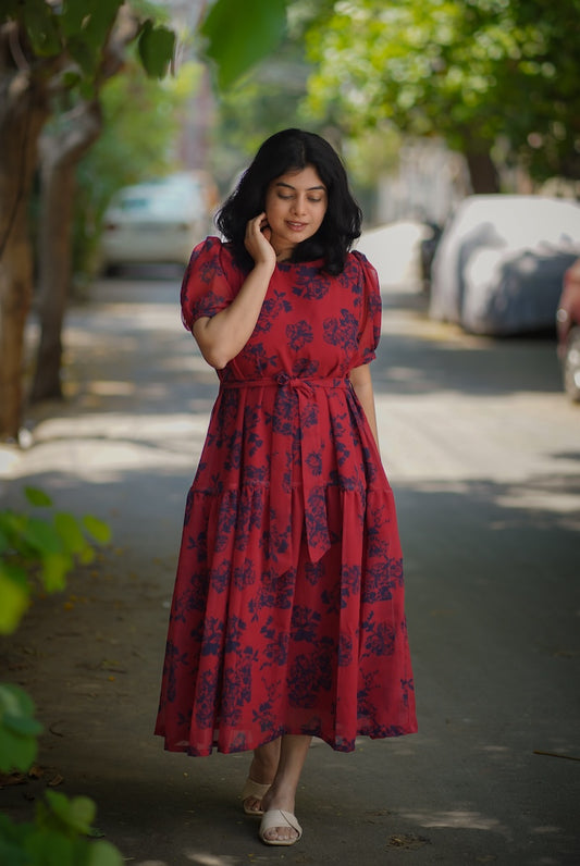 Celia LadyBug Georgette Dress image 0