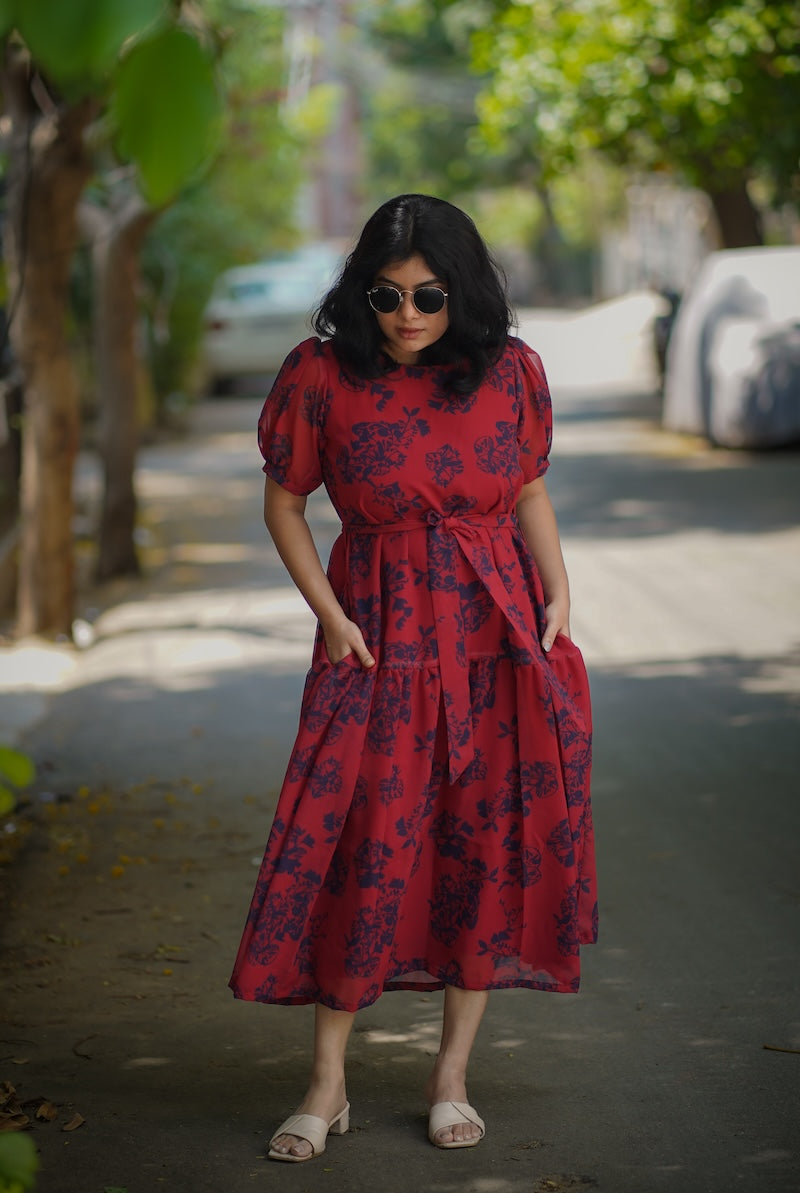 Celia LadyBug Georgette Dress image 3