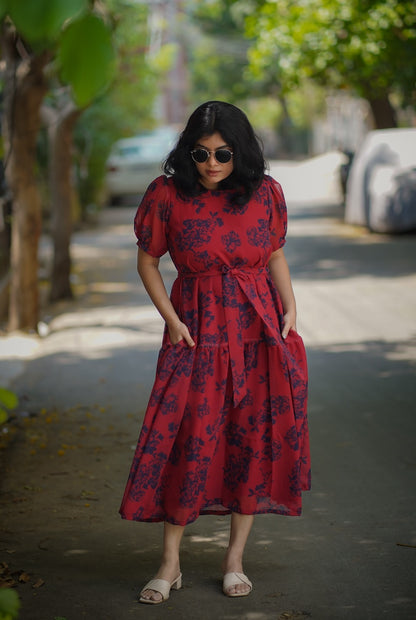 Celia LadyBug Georgette Dress image 3